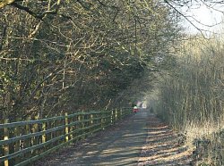 Path near Kilmersdon B3139 overbridge 2008. The track is under the trees on the right. Copyright Maurice Pullen